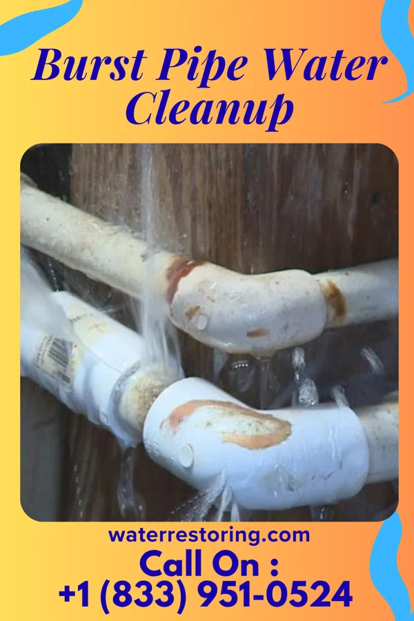 Burst Pipe Water Cleanup in Park Rapids, MN