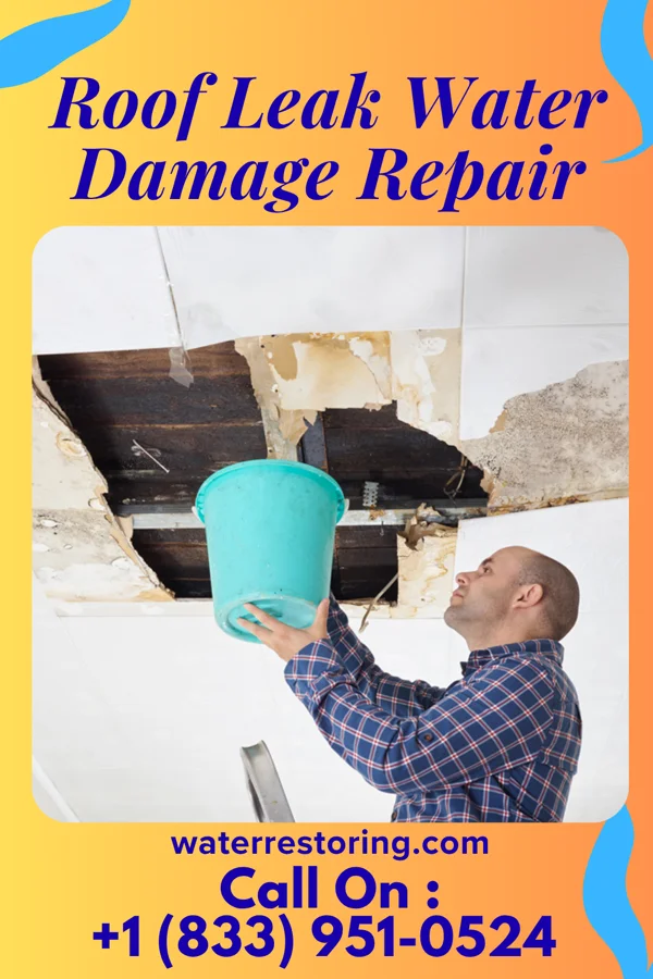 Roof Leak Water Damage Repair in Park Rapids, MN