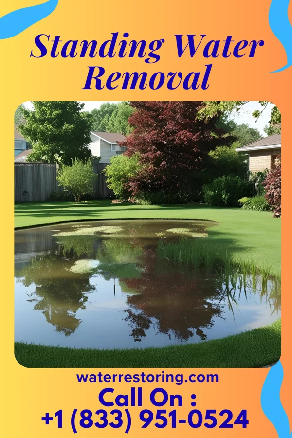 Standing Water Removal in Park Rapids, MN